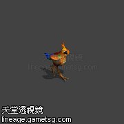 奇异鹦鹉