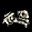龙之骨 Bone of Dragon