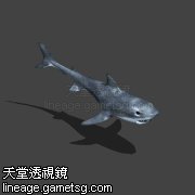 深海的鲨鱼