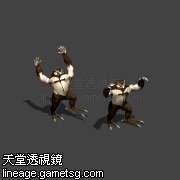 冷冽的 欧熊
