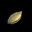 南瓜种子 Pumpkin Seed