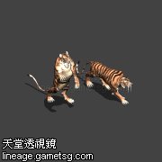 虎男