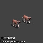 圣伯纳犬
