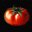 蕃茄 Tomato