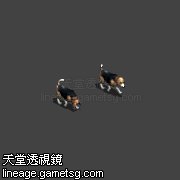小猎犬