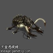 巨大守护蚂蚁
