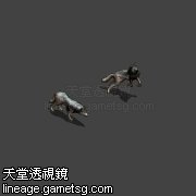 狼