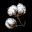 潮湿的棉花 Damp Cotton