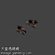 牧羊犬