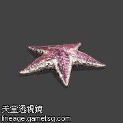 海星