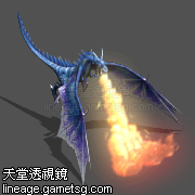 海洋飞龙
