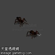 莫妮亚
