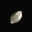 铜光种子 Bronze Seed of Light