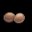 蛋 Egg