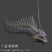 骨鳗鱼