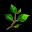 生命之叶 Leaf of Life