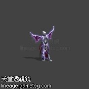 长老?琪娜