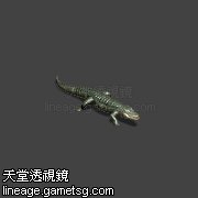 邪恶的 鳄鱼
