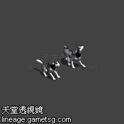 哈士奇