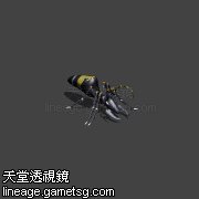 巨大兵蚁
