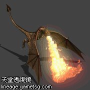 飞龙