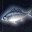 发蓝光的鱼 Fish with Blue Aura