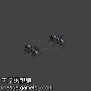 巨蚁
