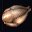 奇异鹦鹉肉 Kiwi Parrot Meat