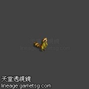 浣熊