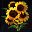 太阳花花束 Sunflower Bouquet