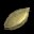 巨大南瓜种子 Giant Pumpkin Seed