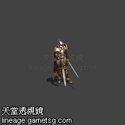 圣十字军骑士