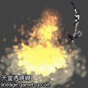 赛尼斯
