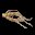 人蔘 Ginseng
