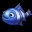蓝色小丑鱼 Blue Clownfish