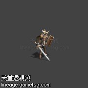 黄金之鹰战士
