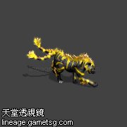 黑虎