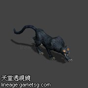黑豹