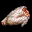 全鸡 Whole chicken