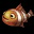 小丑鱼 Clownfish