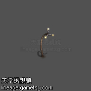 沙漠花