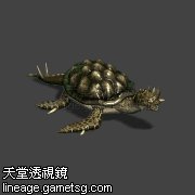 海洋龙龟