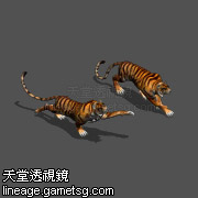 森林老虎